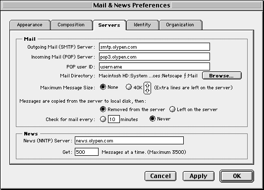 mn_srvr.gif (10875 bytes)
